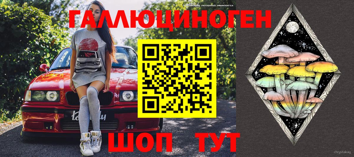 Алексеевка  Псилоцибиновые грибы GOLDEN TEACHER  Вход с VPN 