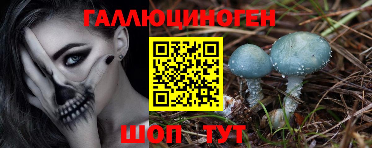 Псилоцибиновые грибы MAGIC MUSHROOMS Алексеевка