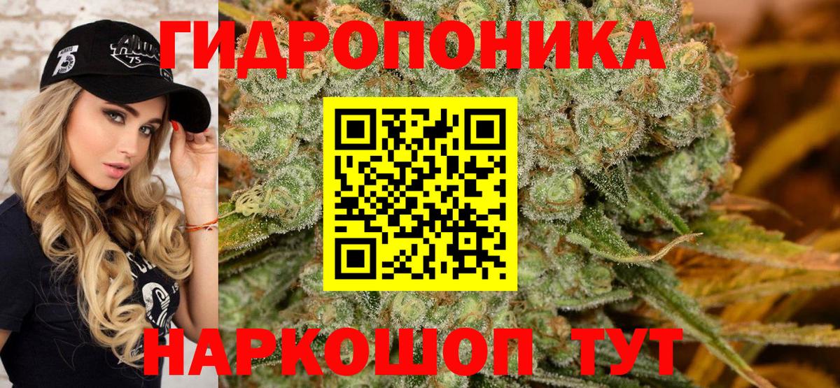 Бошки Шишки марихуана  Бошки Шишки план  Алексеевка  Вход с VPN  Марихуана план  Бошки марихуана гибрид 